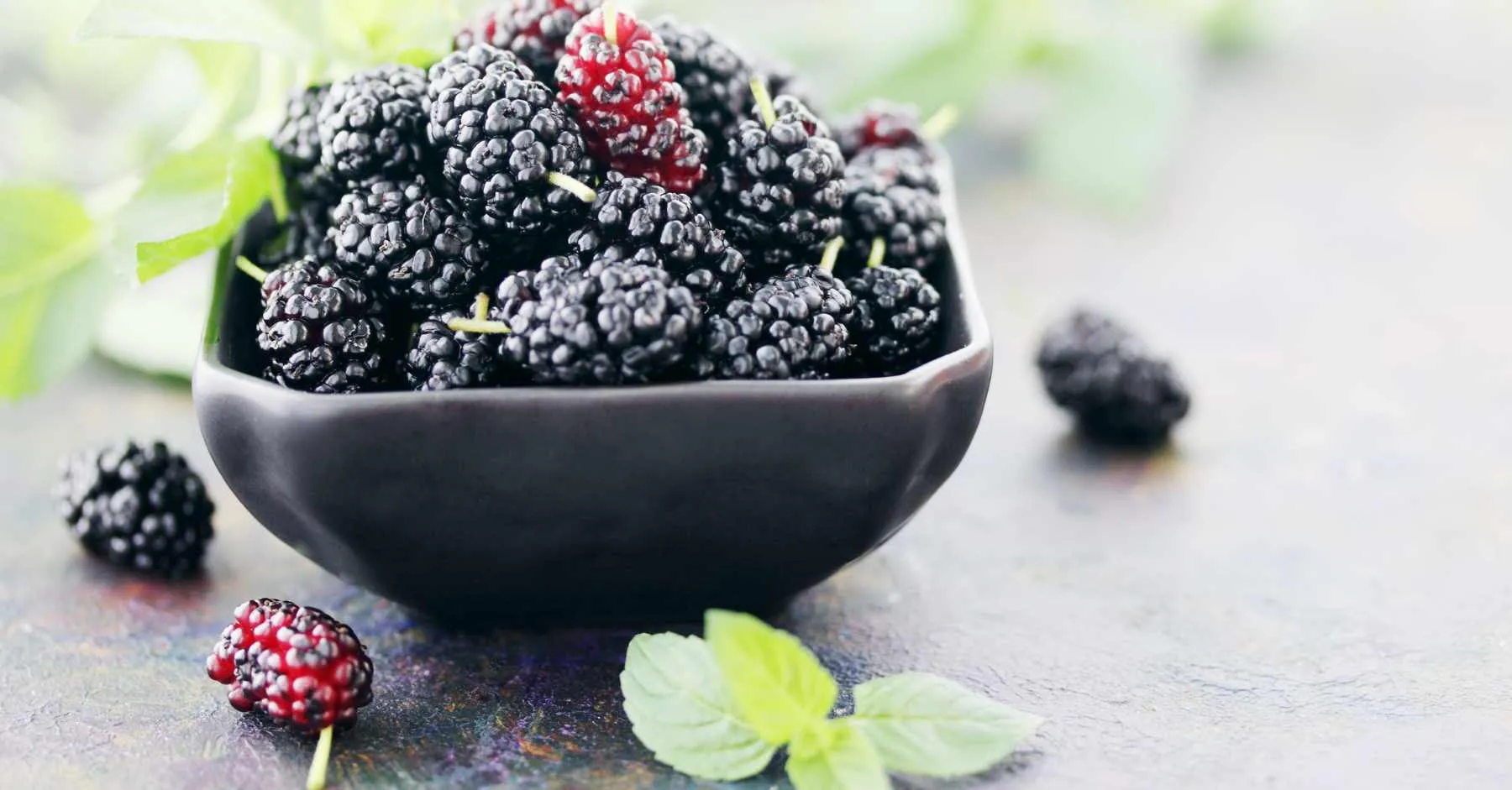Mulberry Skincare Benefits: Your Key to Radiant and Glowing Skin