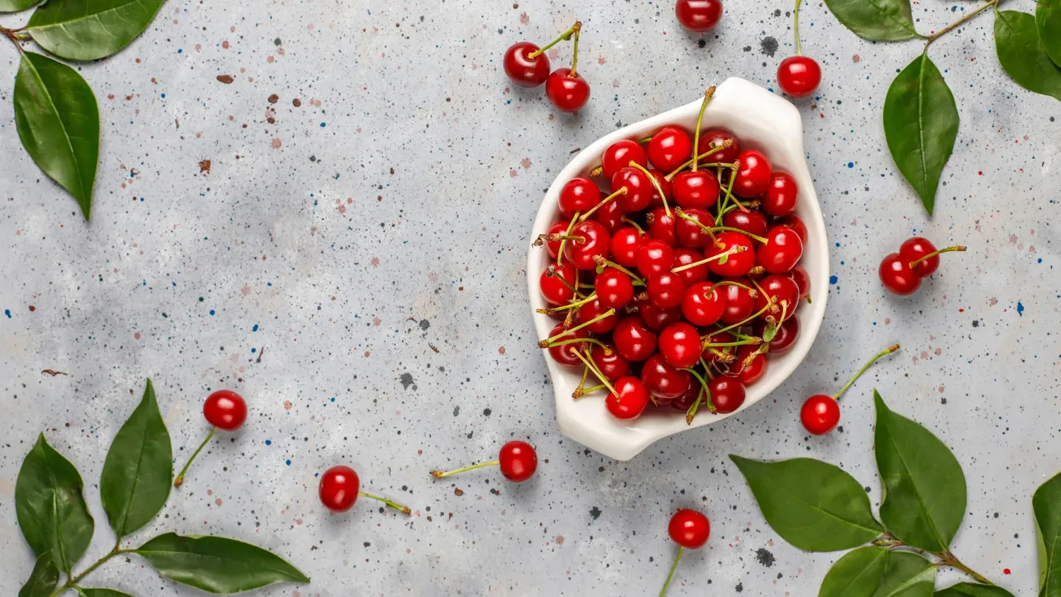 What is Alpha Arbutin? Everything You Need to Know