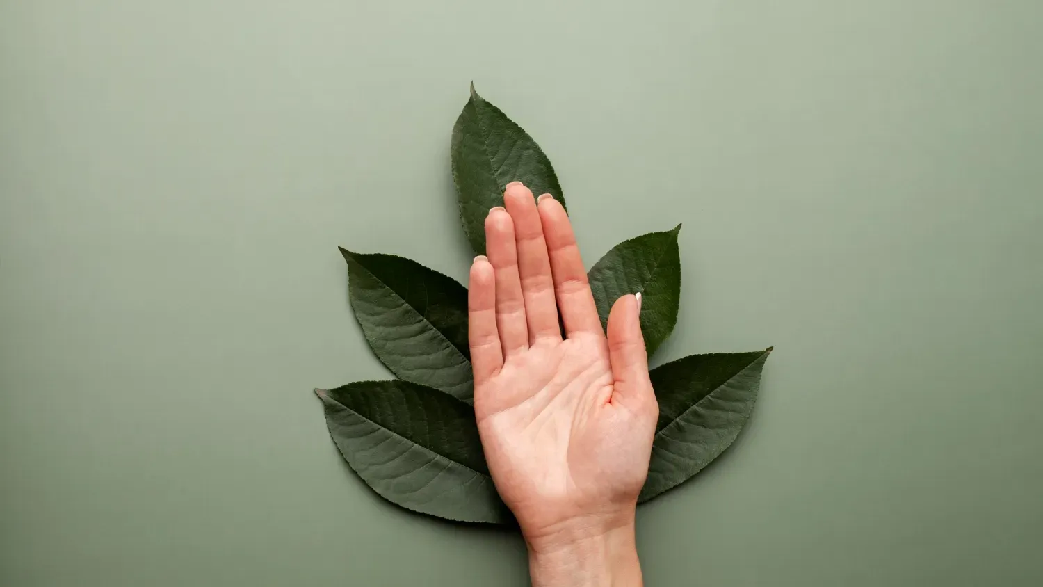 The Rise of Clean Beauty: Understanding the Eco-Friendly Beauty Movement