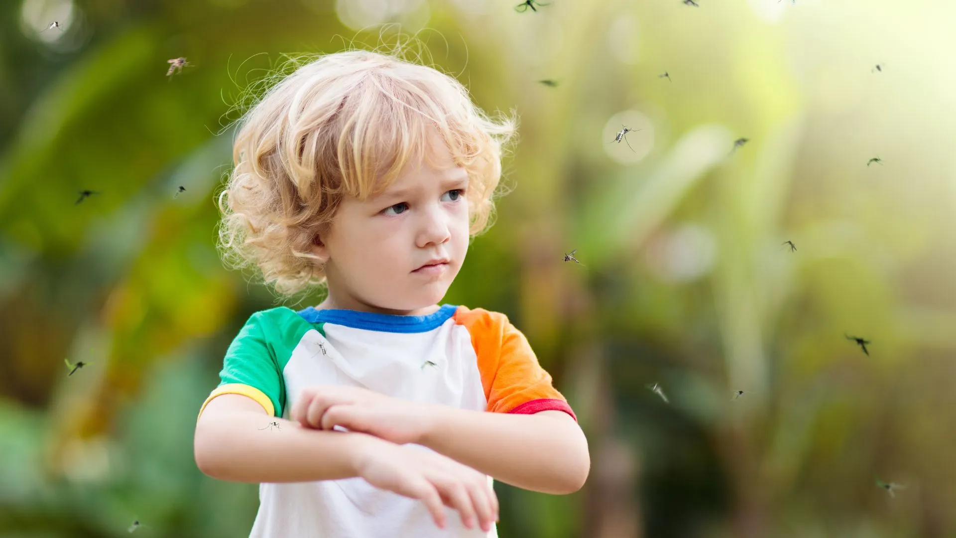 Is Mosquito Roll On Effective? Find Out the Natural Alternative to Mainstream Repellents