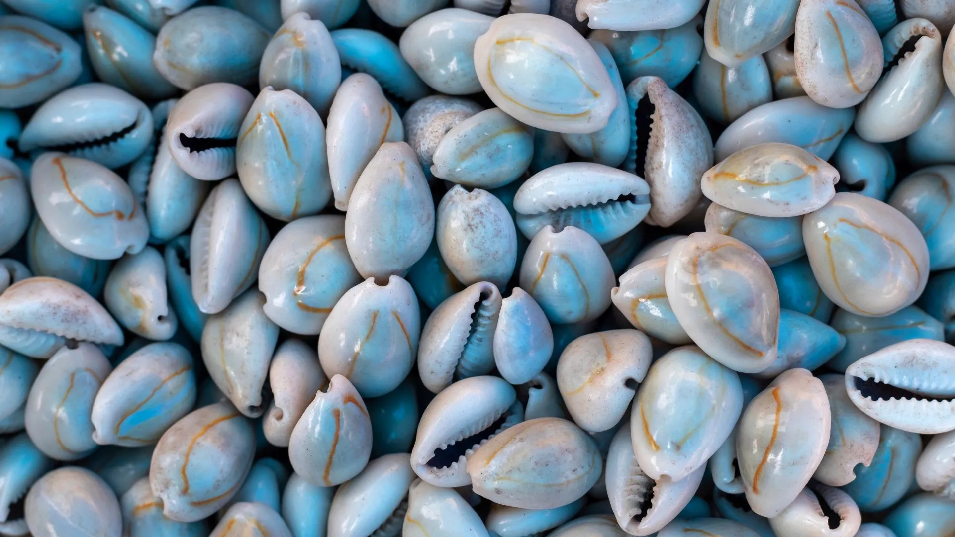 10 Unique Ideas to Celebrate Raksha Bandhan 2024 with Kaudi Shells