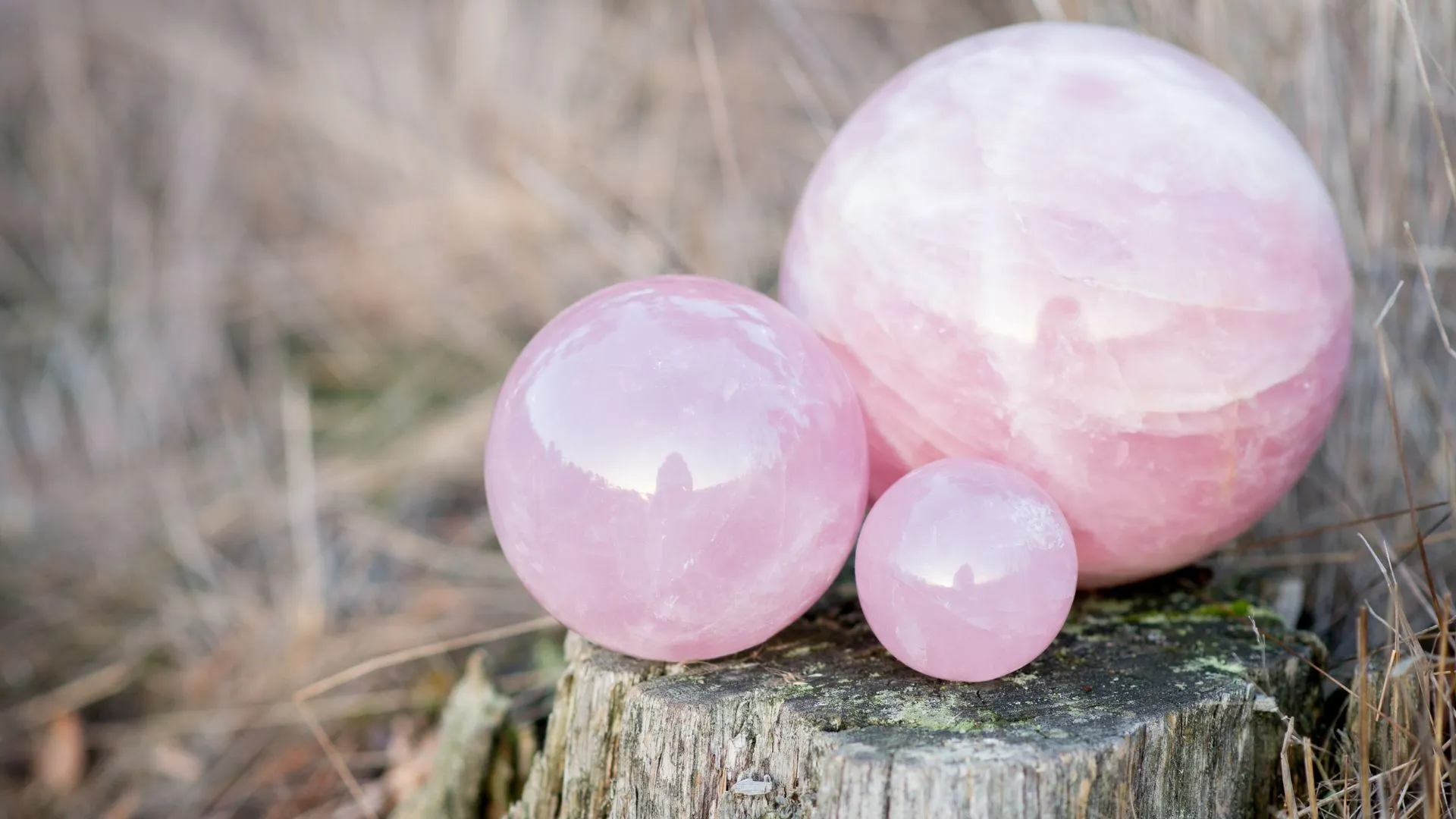Why is Rose Quartz the Perfect Gift for Taurus this Raksha Bandhan?