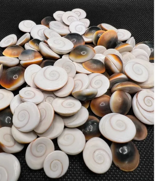 The Power and Significance of Gomati Chakra