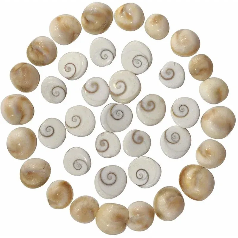 Unlocking the Mysteries of Gomati Chakra: A Guide to Spiritual Awakening