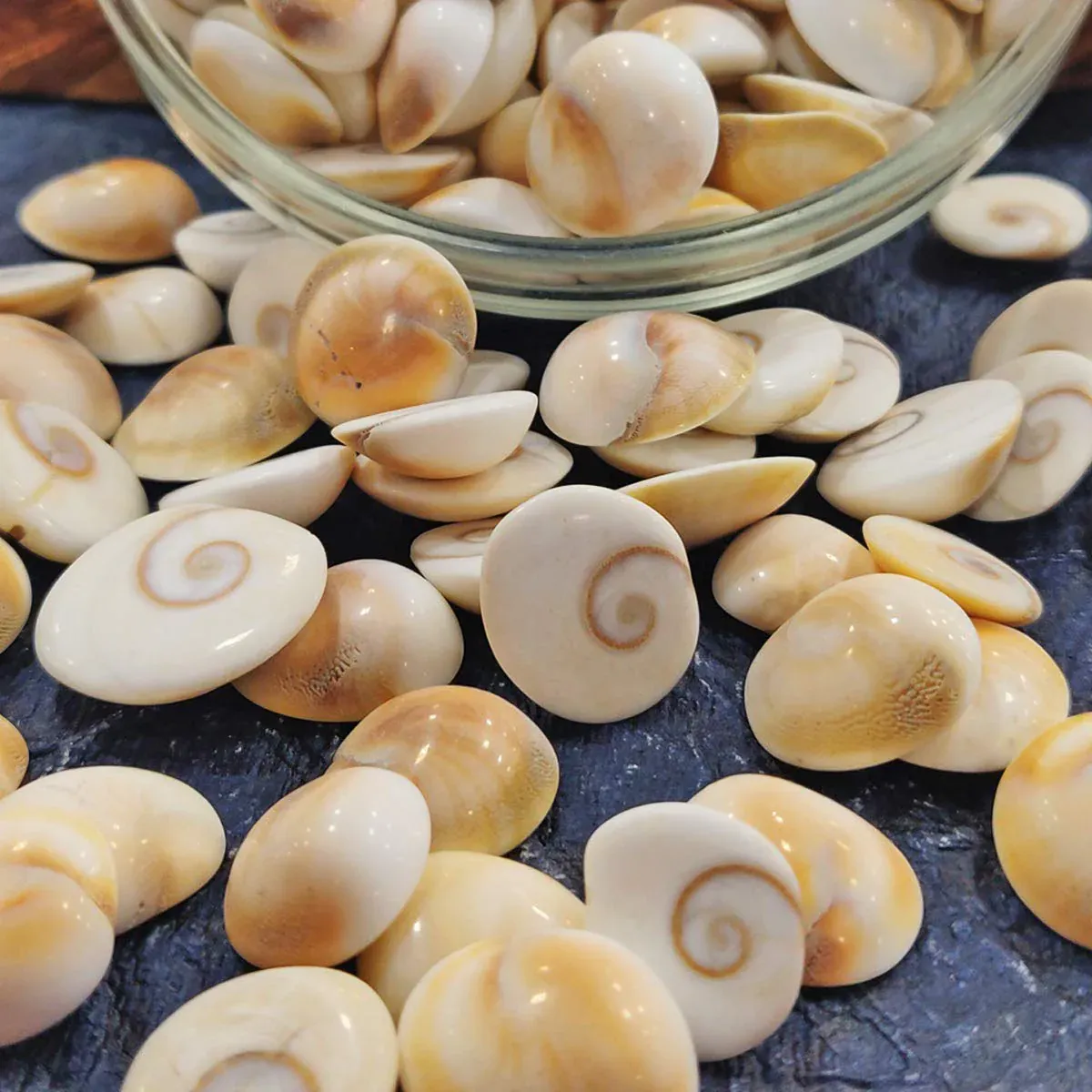 Can You Keep One Gomati Chakra at Home? Unlocking the Power of Spiritual Energy
