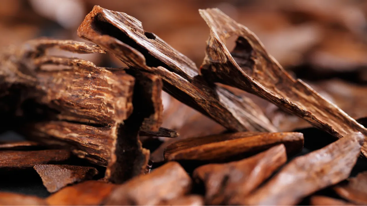 Unlock the Secrets of Sandalwood Attar: A Timeless Fragrance