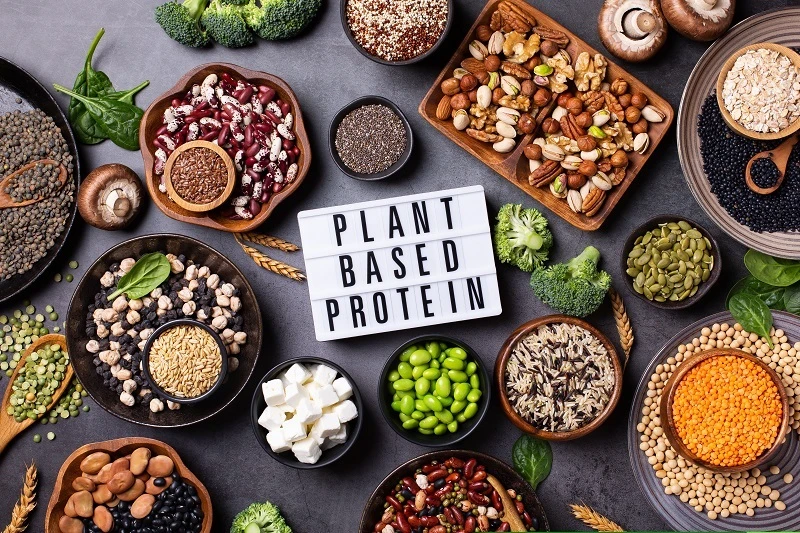 Plant-Based Protein Powder 101: A Beginner's Guide