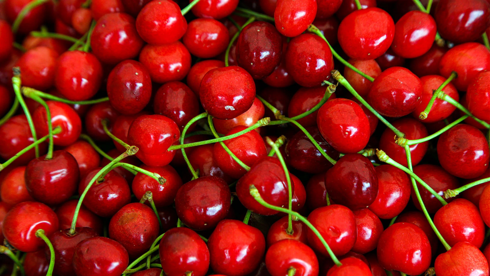 9 Toxin-Free Foods for Your Heavy Metal Cleanse