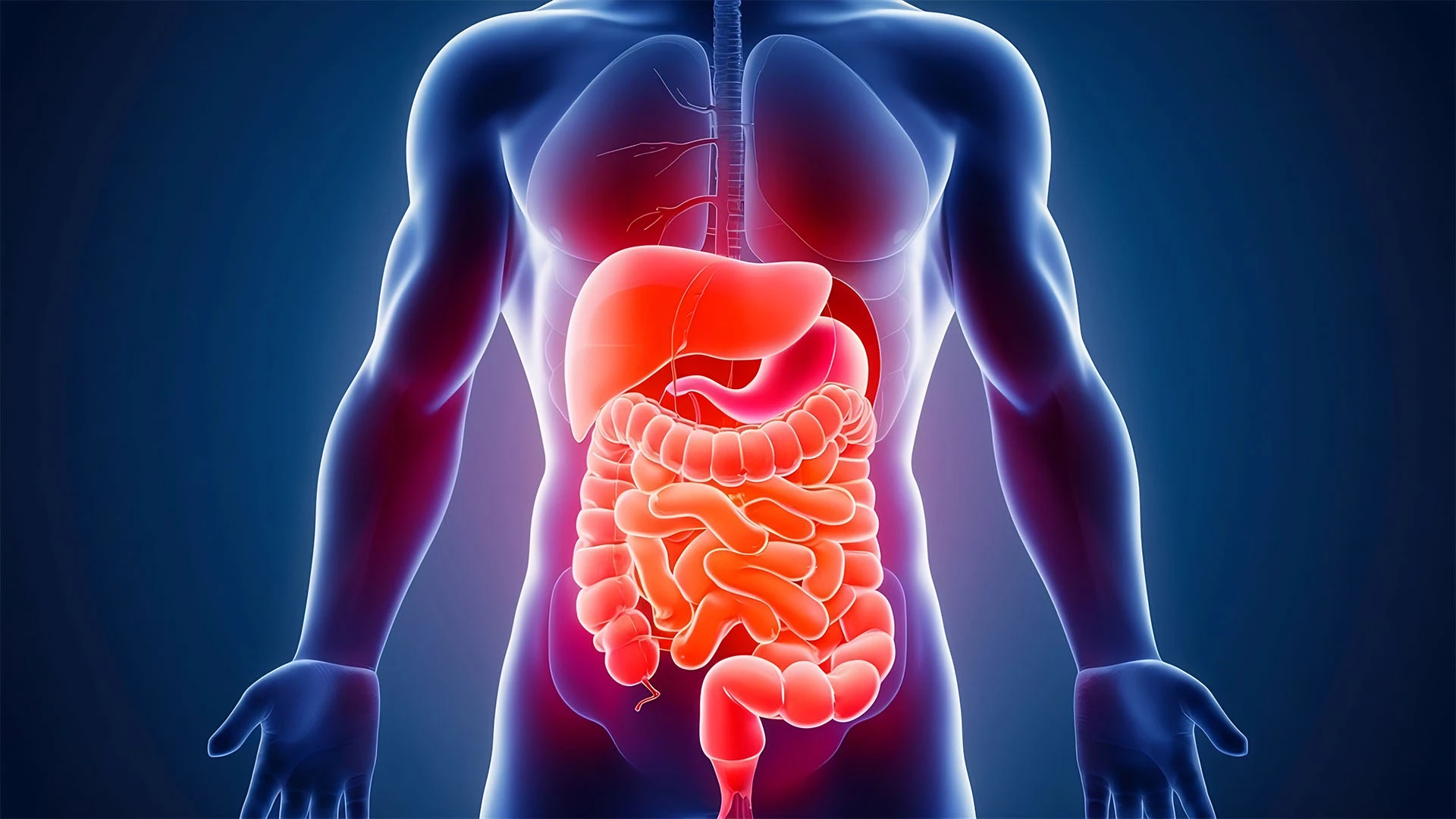 Digestive Enzymes: Your Guide to Better Nutrient Absorption