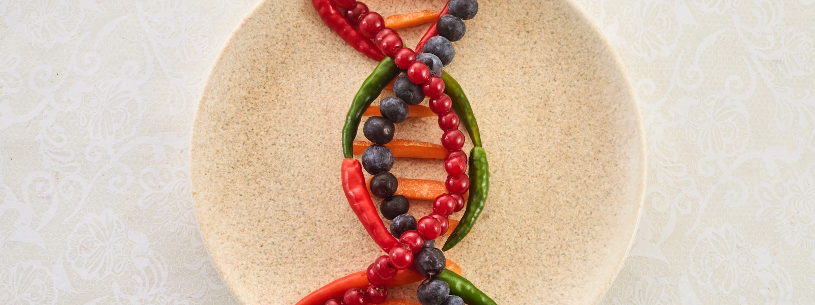 Bioavailability FAQ: Your Nutrient Absorption Guide