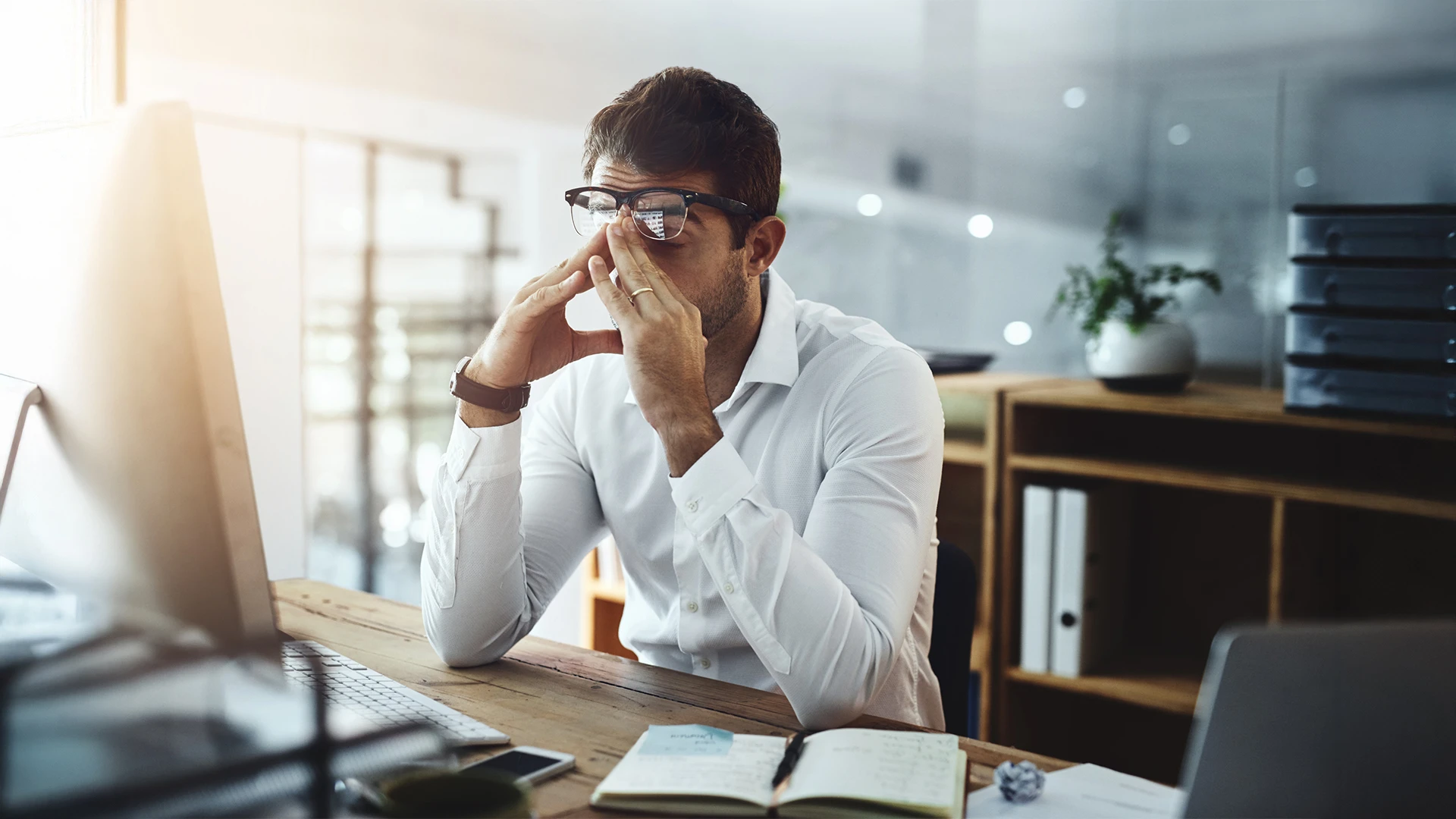 FAQs: Mushrooms for Mental Clarity, ADHD & Anxiety