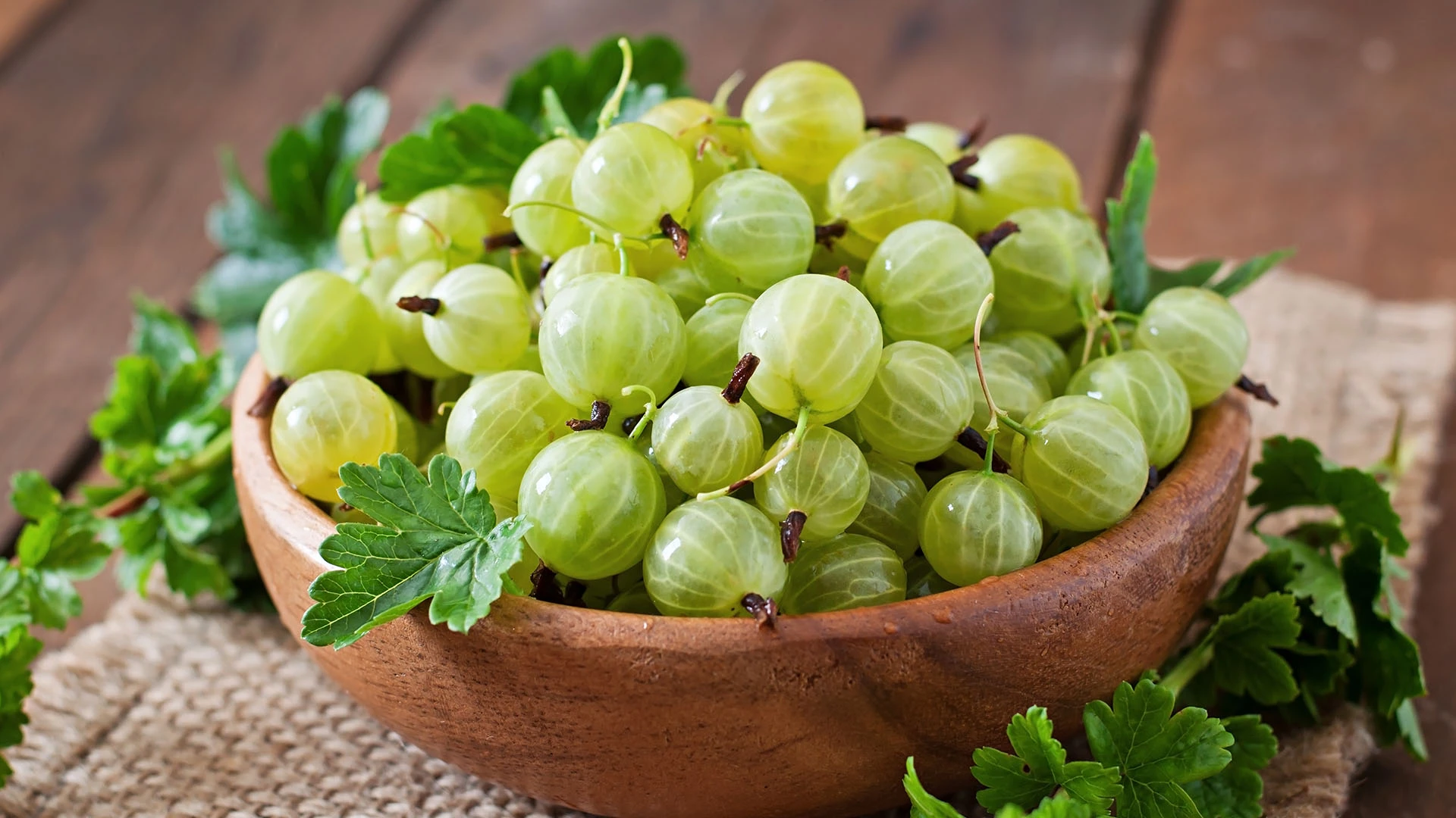 Is Amla Good for Hair? All Your Questions Answered