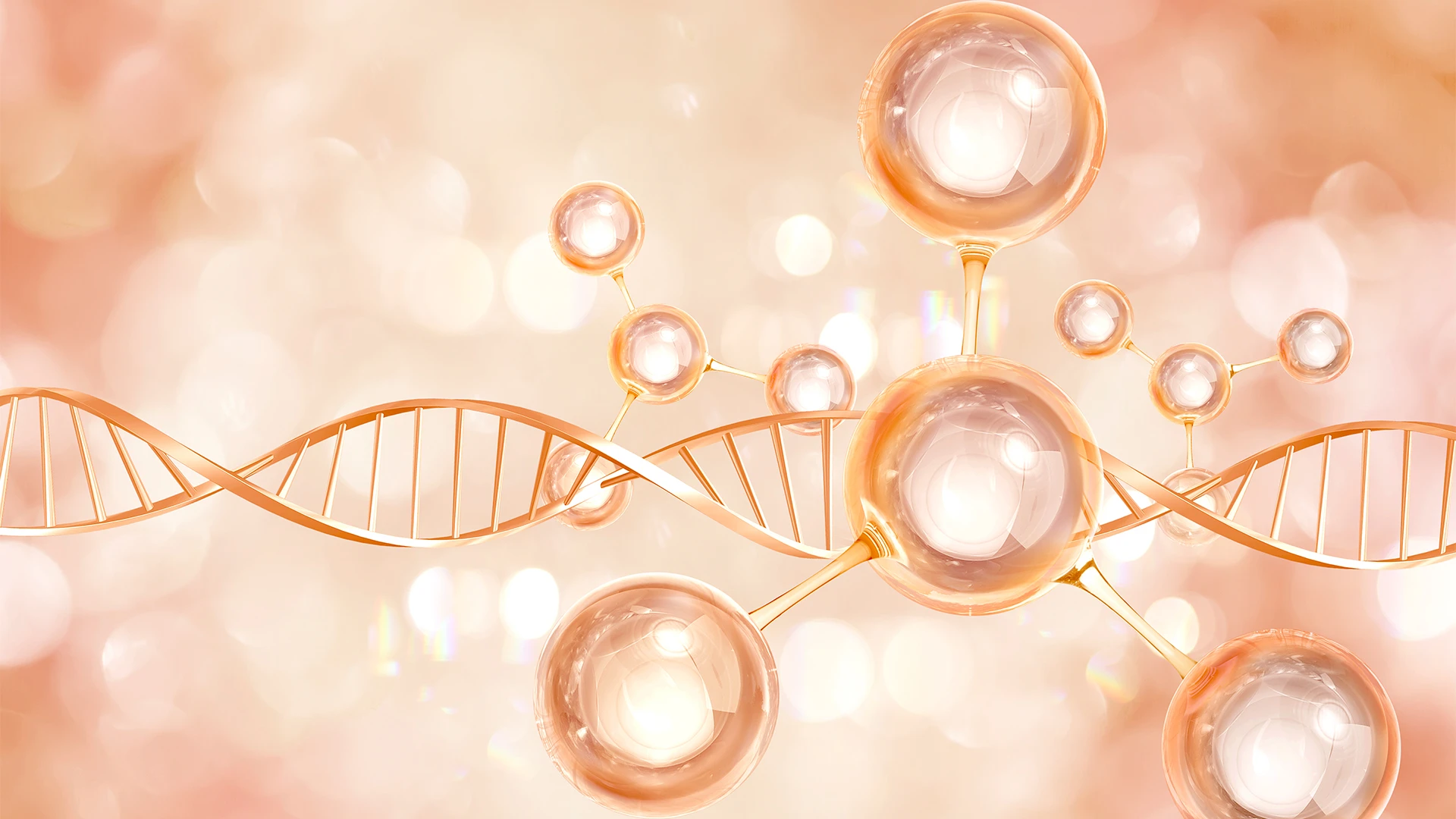 Nutrient Absorption 101: Your Complete Guide