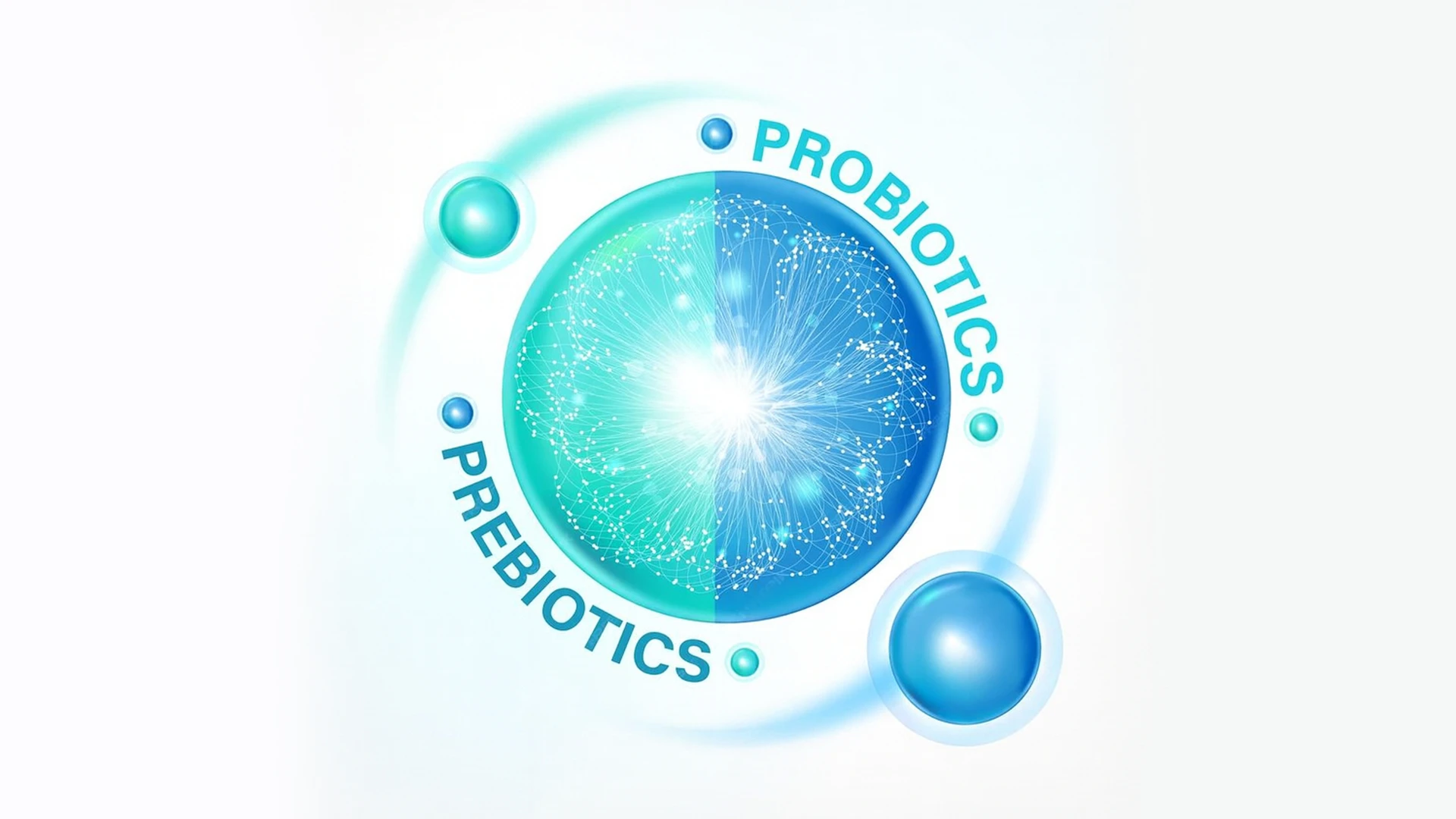 Probiotic Supplements: Your Gut Health Guide