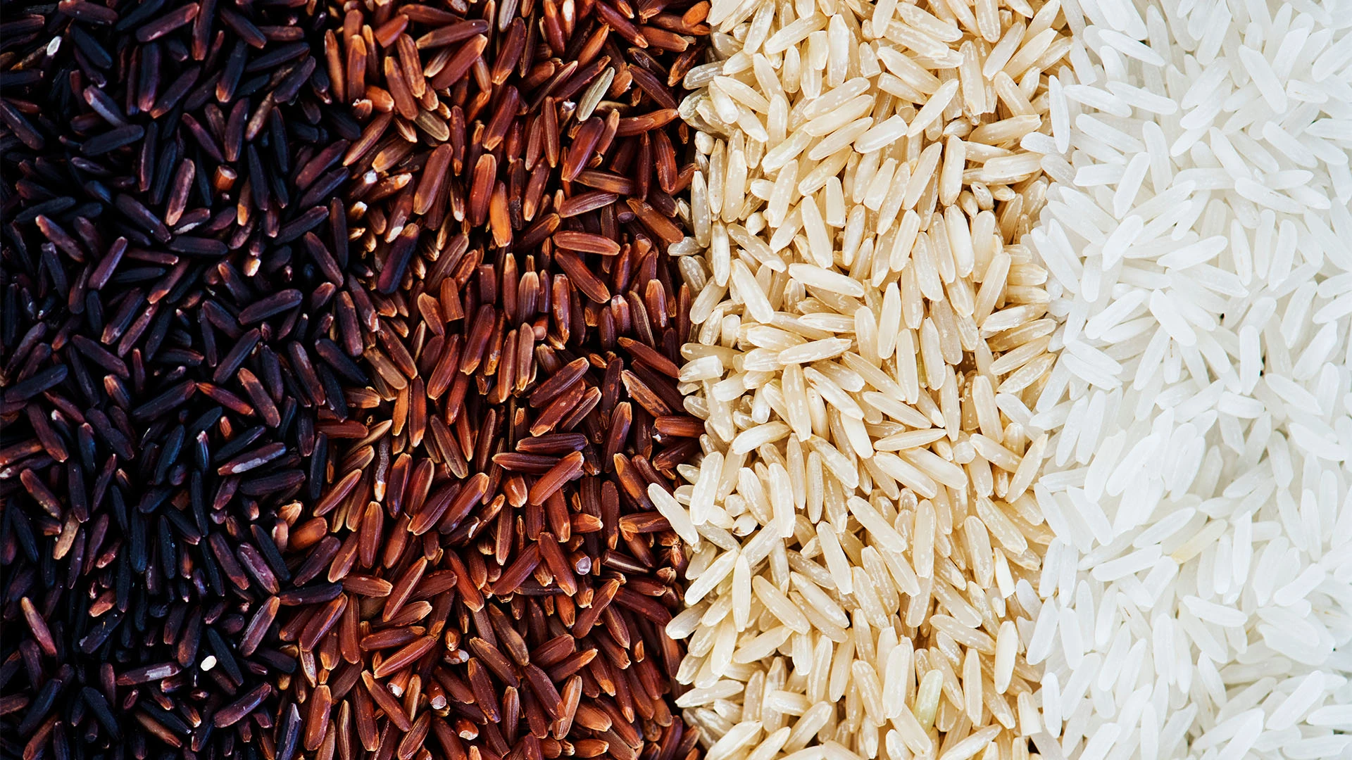 Rice Nutrition Facts: Your Complete Health Guide