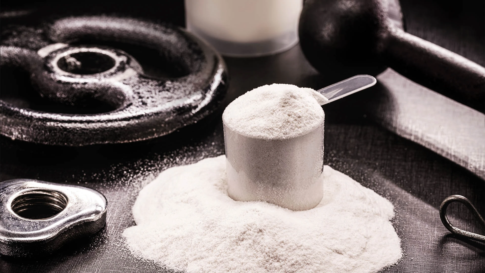 Vegetarian Protein: Your Complete Guide to Nutrition