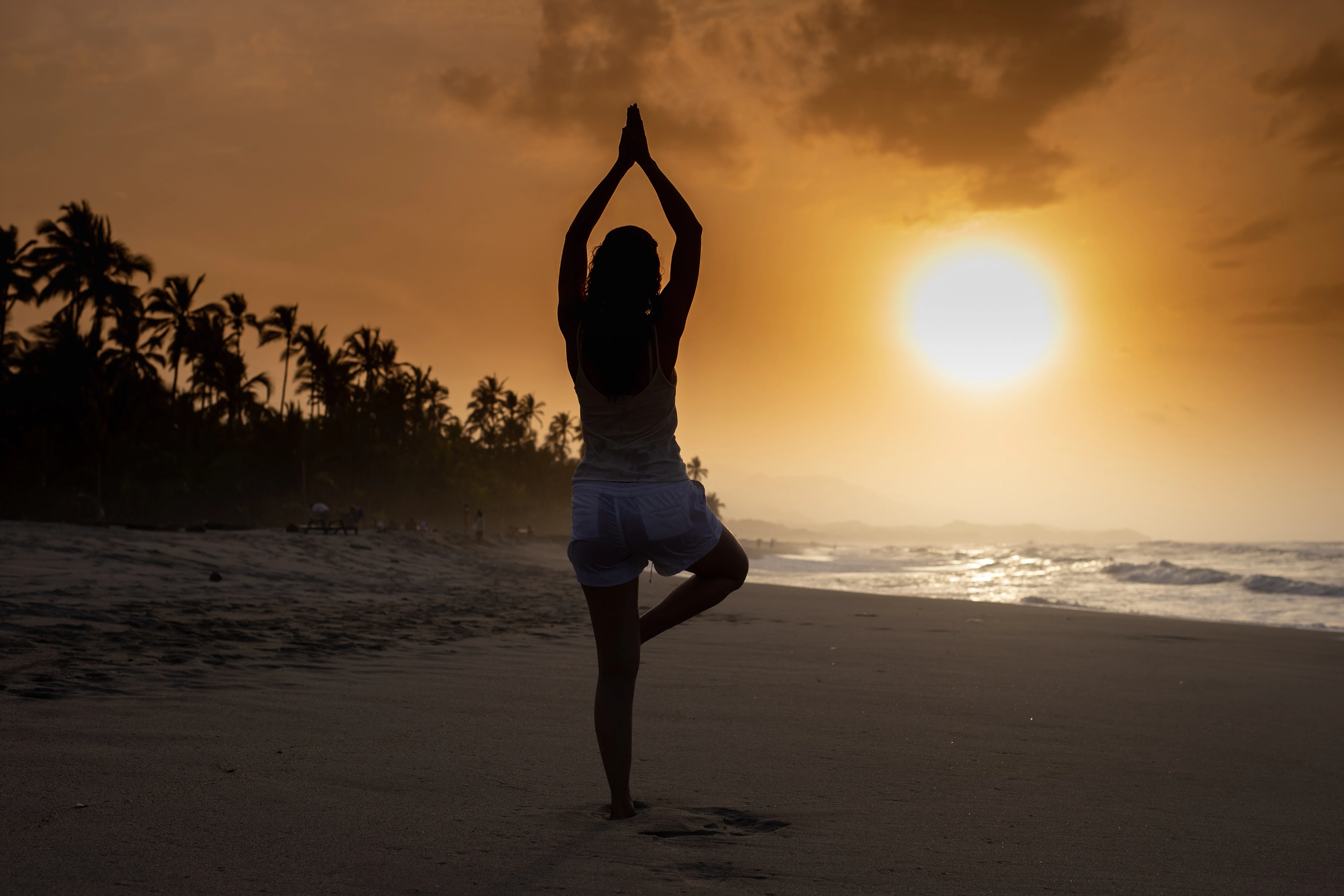 5 Steps to Embrace Holistic Living Today