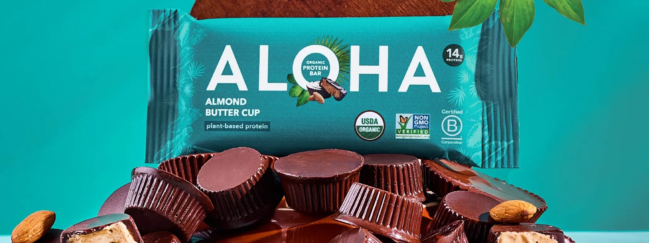 Whey Protein vs Plant Protein: Which is Better for You?