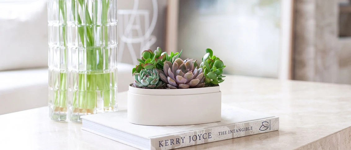 Lula's Garden: Thoughtful Sympathy Gifts Under $50