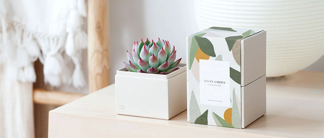 Lula's Garden: Best Employee Appreciation Gifts | Thoughtful & Easy
