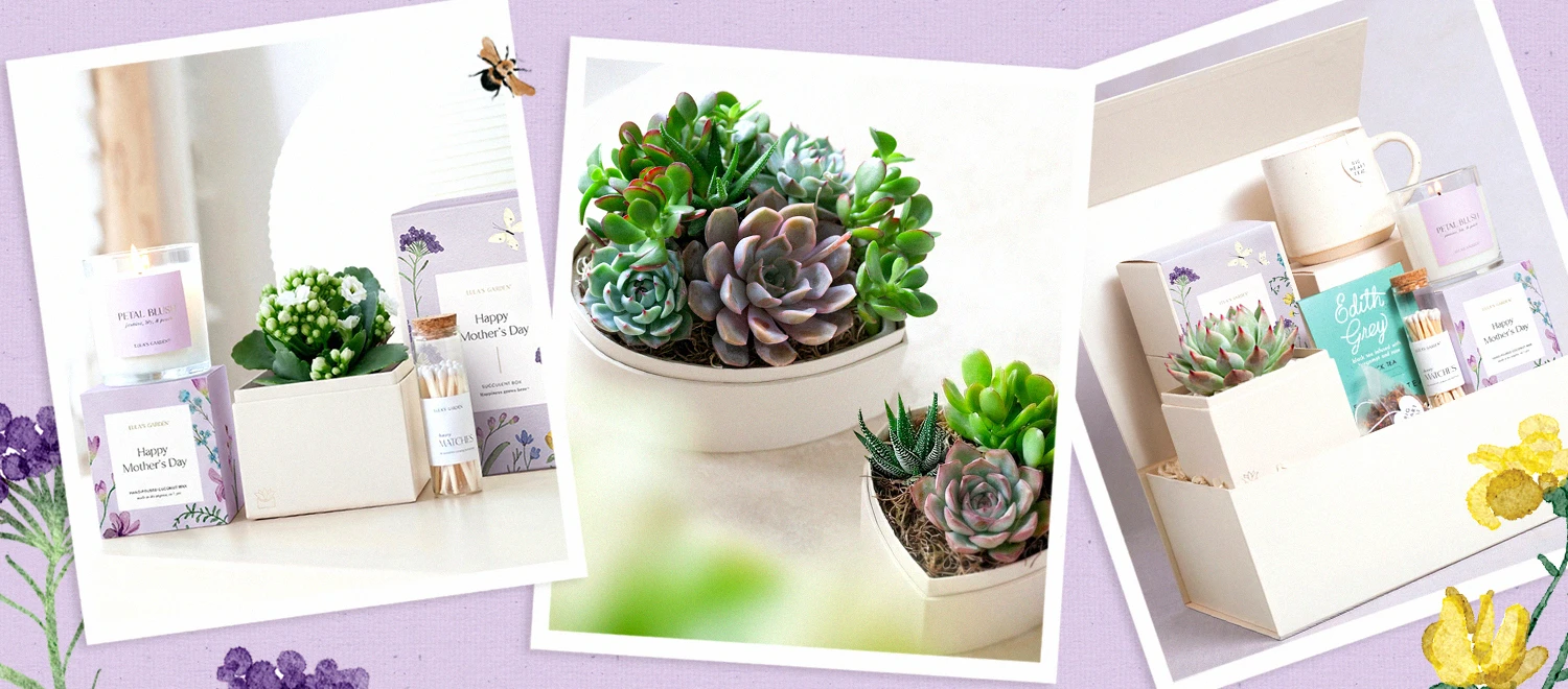 5 Unique Mother's Day Succulent Gifts