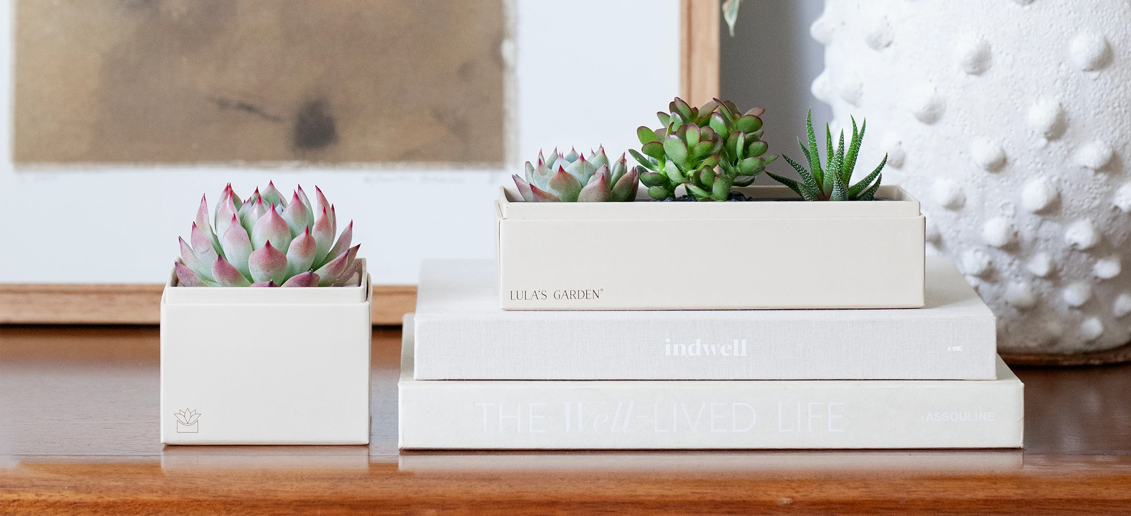 Transform Your Bedroom with Plant Decor Ideas