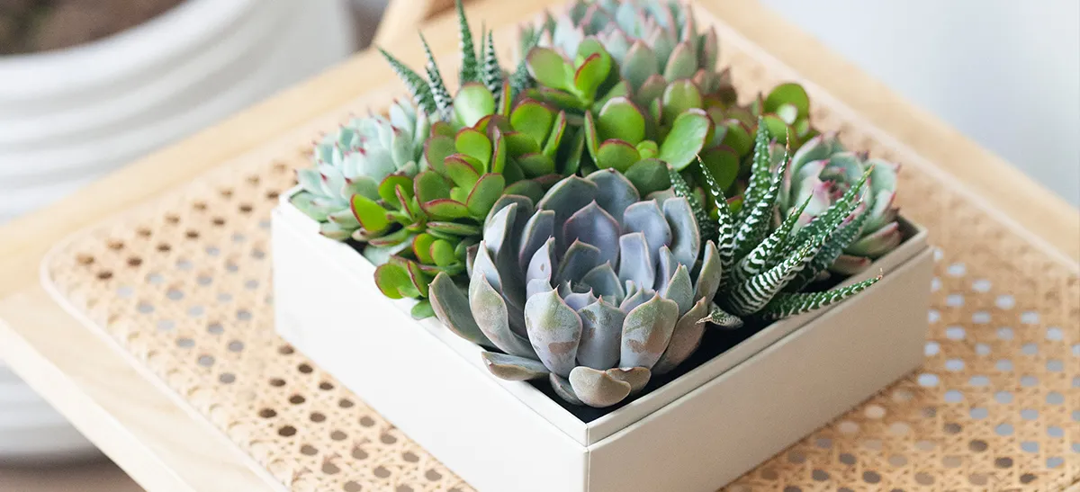 Top Corporate Holiday Gift Ideas