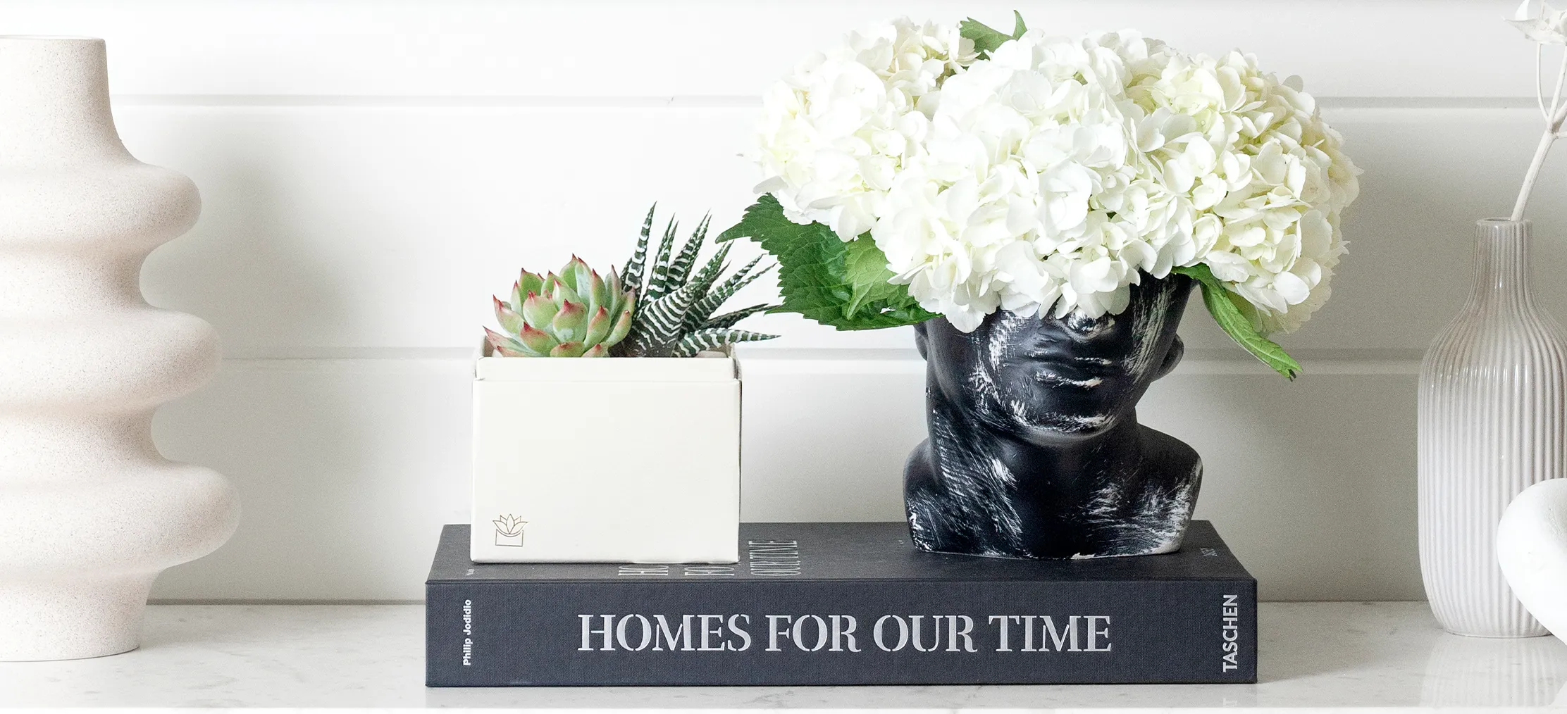 Charming Pet Friendly Succulent Garden Sets