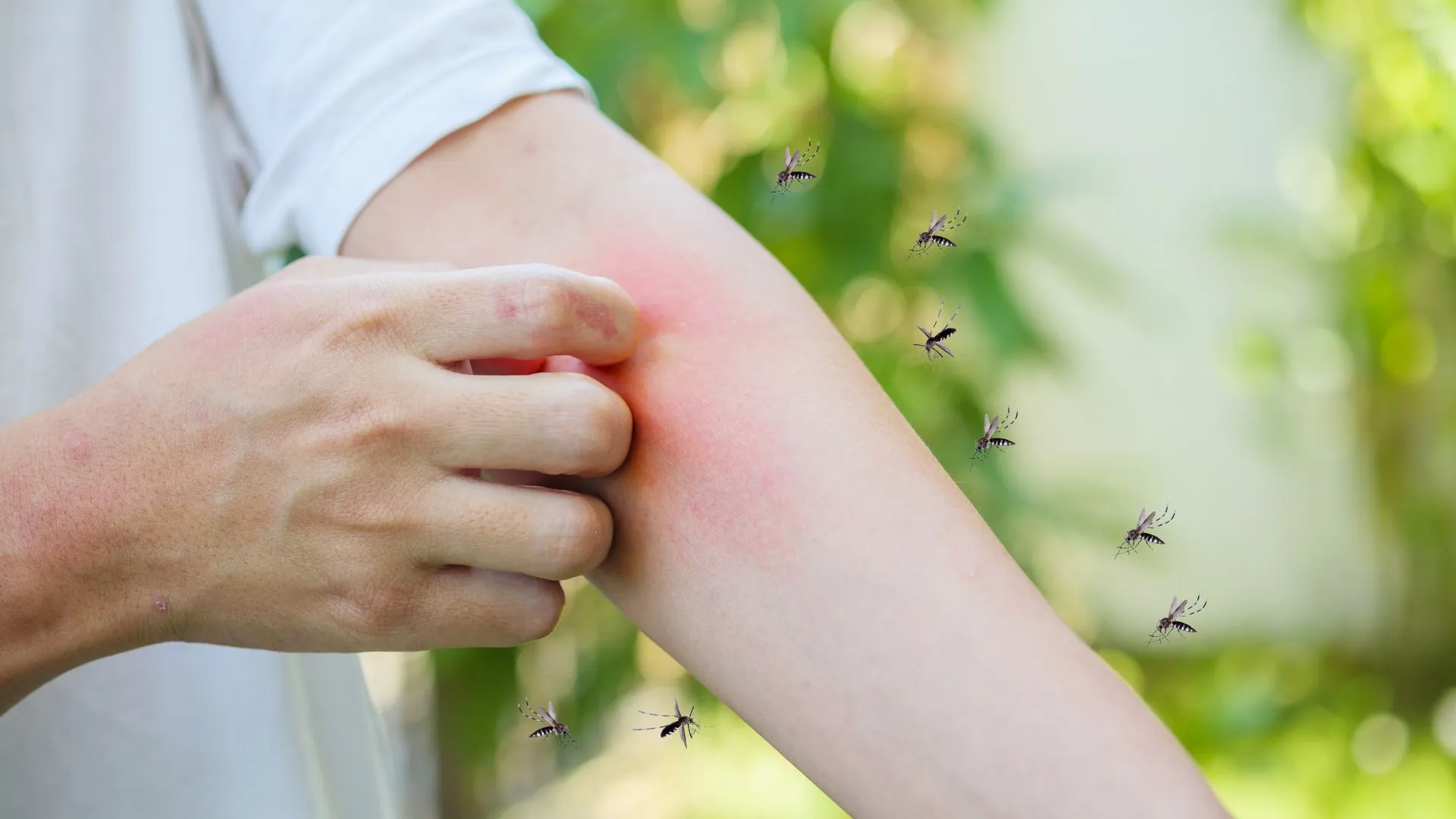 Effective Natural Mosquito Repellent - Say Goodbye to Pesky Bugs!