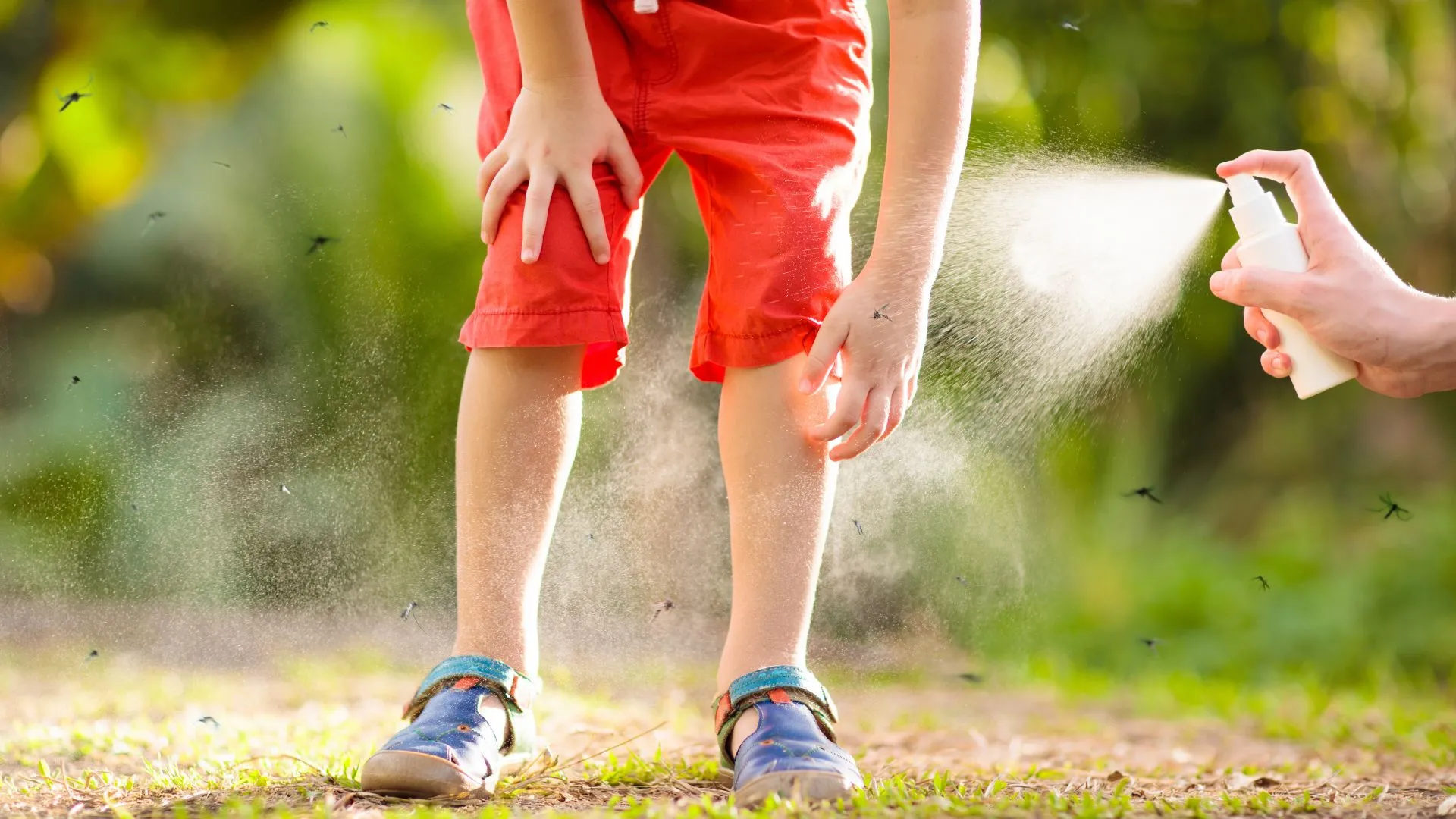 Naturally Effective Mosquito Repellent - Safeguard Your Outdoor Experience