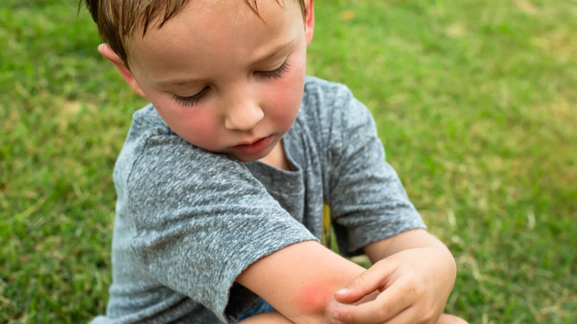 Ultimate Mosquito & Bug Spray: Powerful Protection for Outdoors