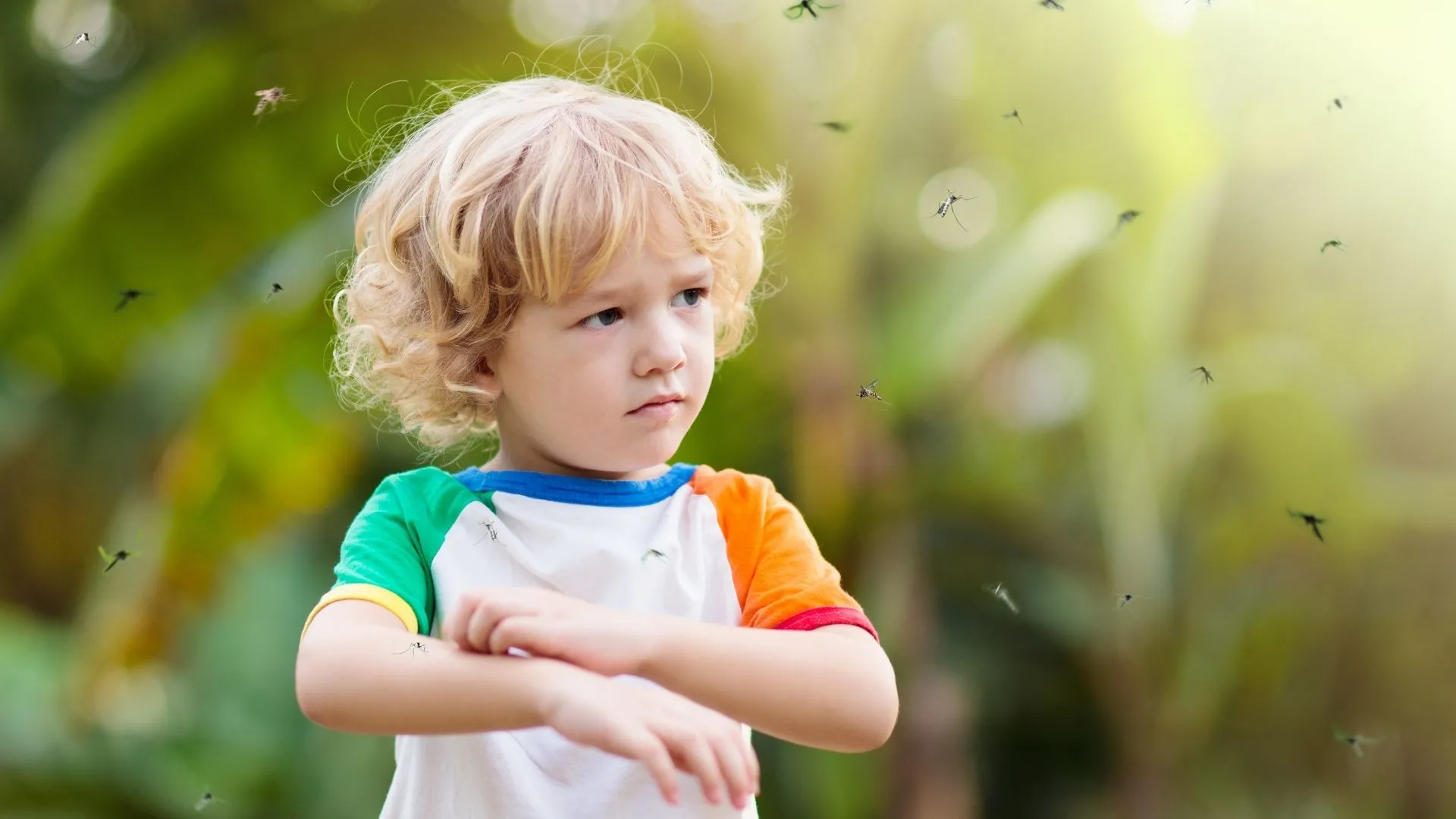 Stay Bite-Free with Mother Sparsh Mosquito Repellent