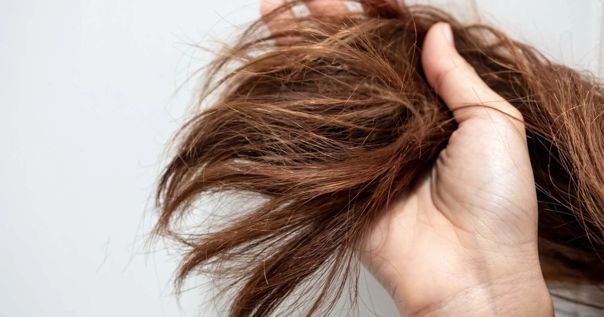 Guida ai migliori prodotti per capelli crespi e sottili: tutte le risposte.