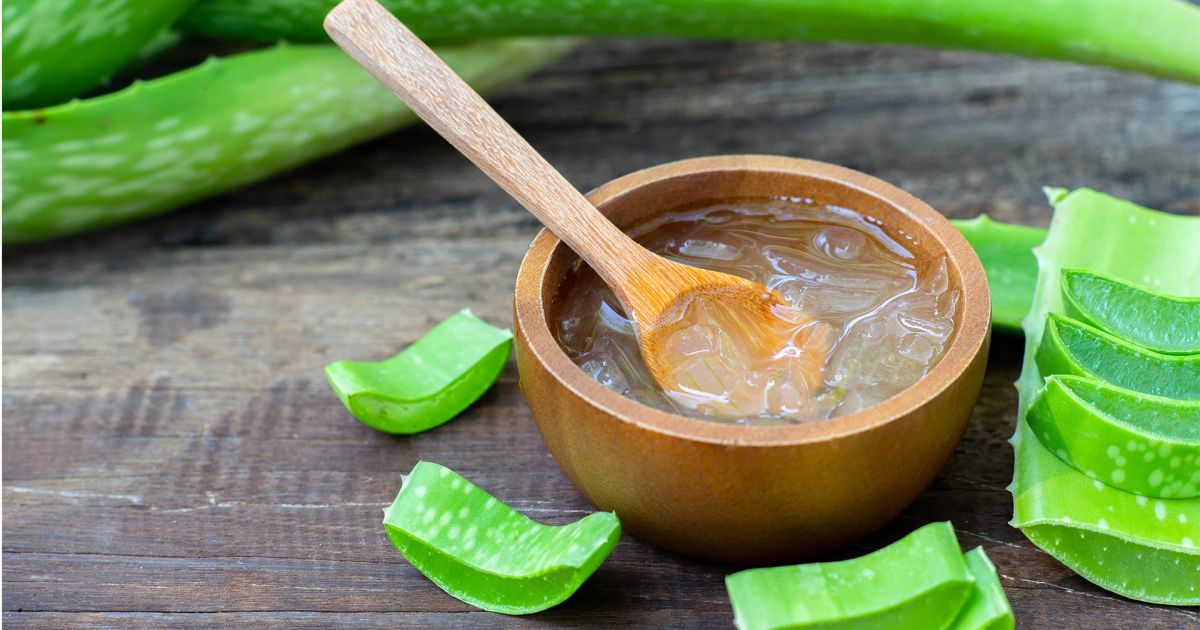 How to Extract and Use Fresh Aloe Vera Gel