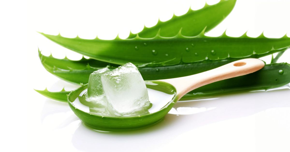How to Find the Best Aloe Vera Gel Price for Your Skin
