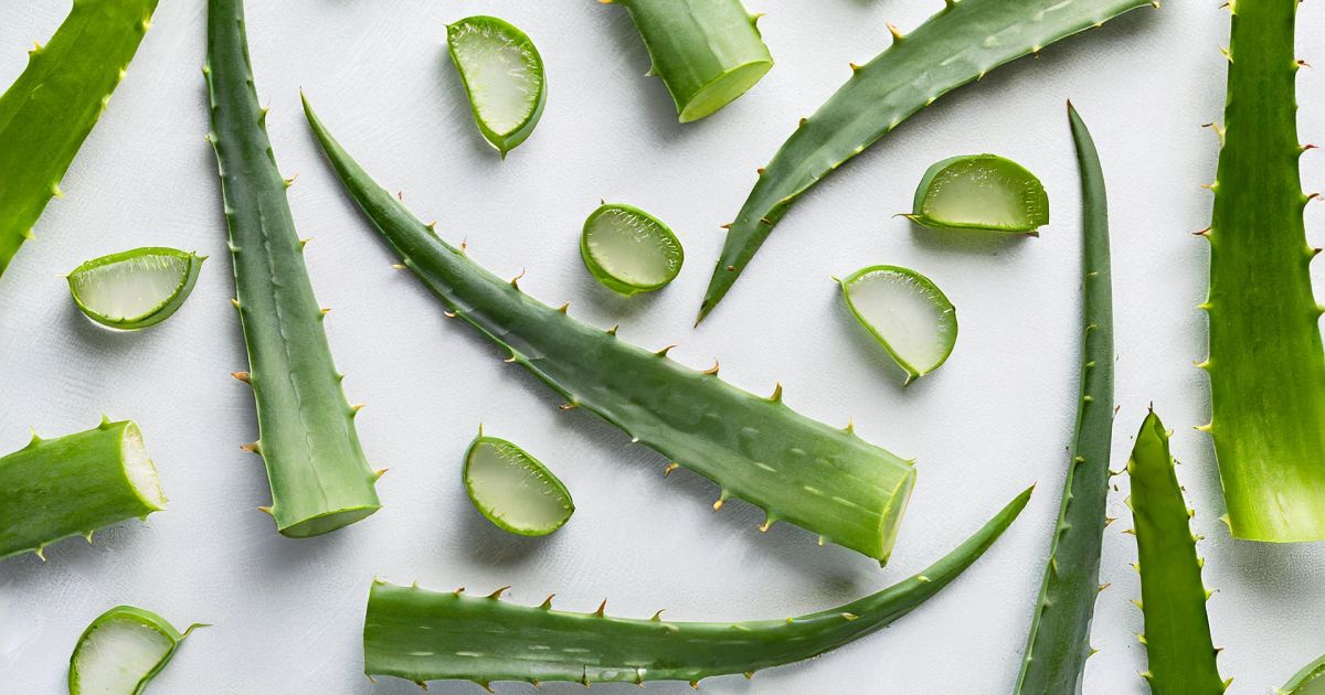 How to Use Aloe Vera Gel on Face at Night for Skin