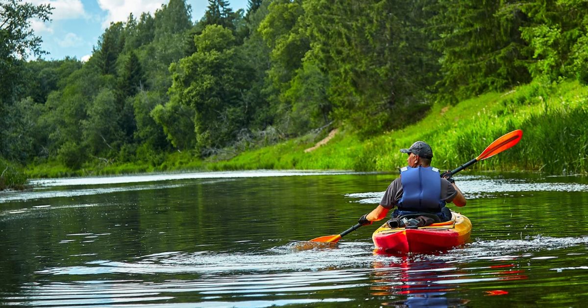 10 Best Mangrove Forest Kayaking Spots to Explore Nature