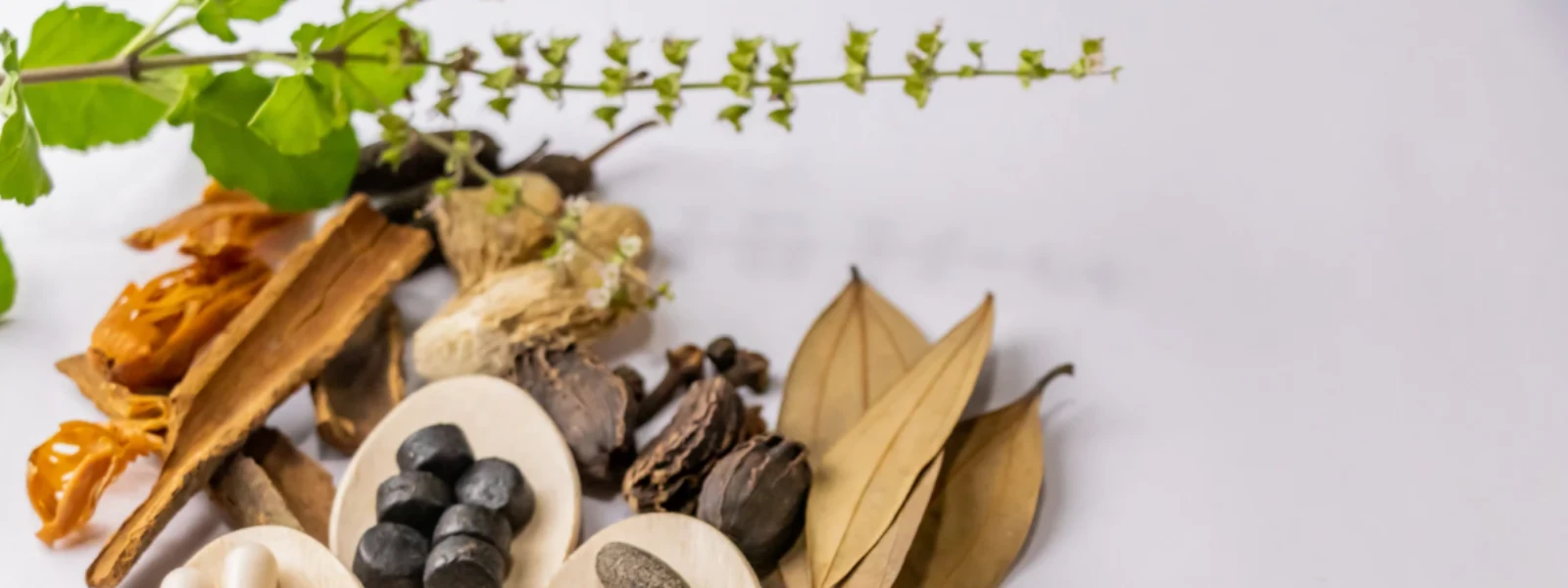 7 Ayurvedic Remedies for Stomach Issues You Need to Try