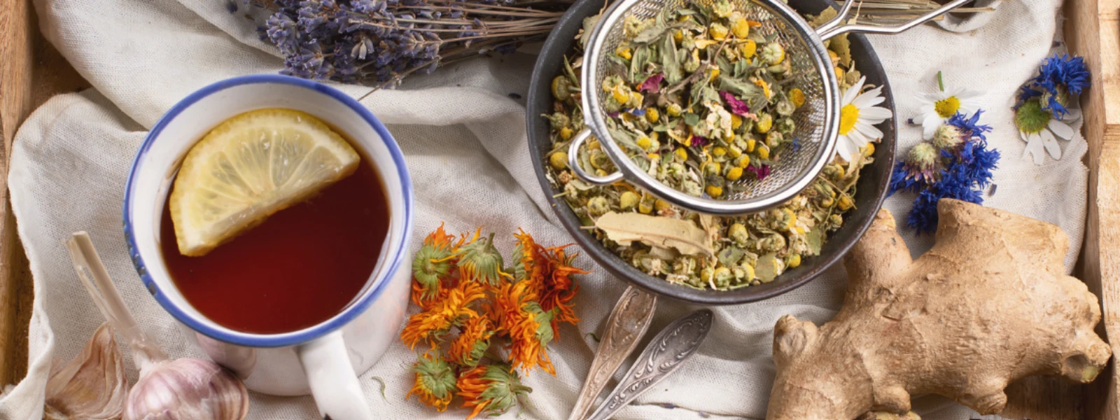 7 Essential Herbs to Soothe Burning Stomach Fast