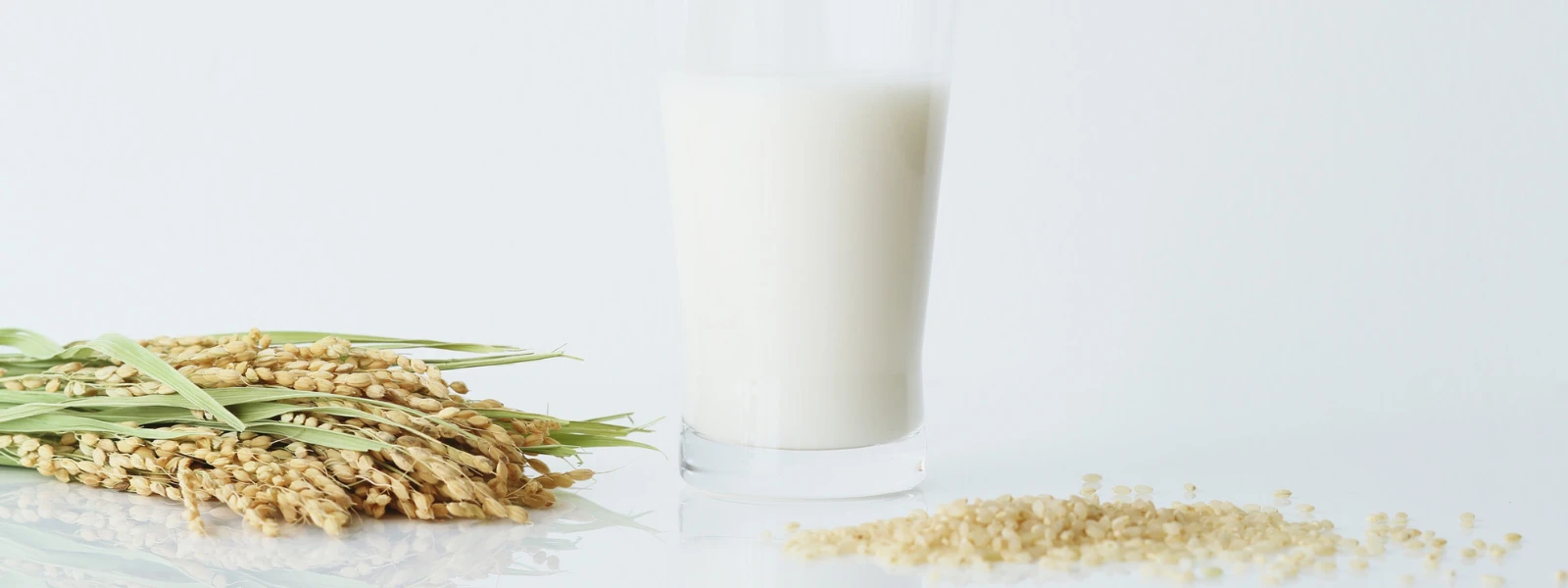 7 Reasons Why Rice Protein is a Top Plant-Based Protein