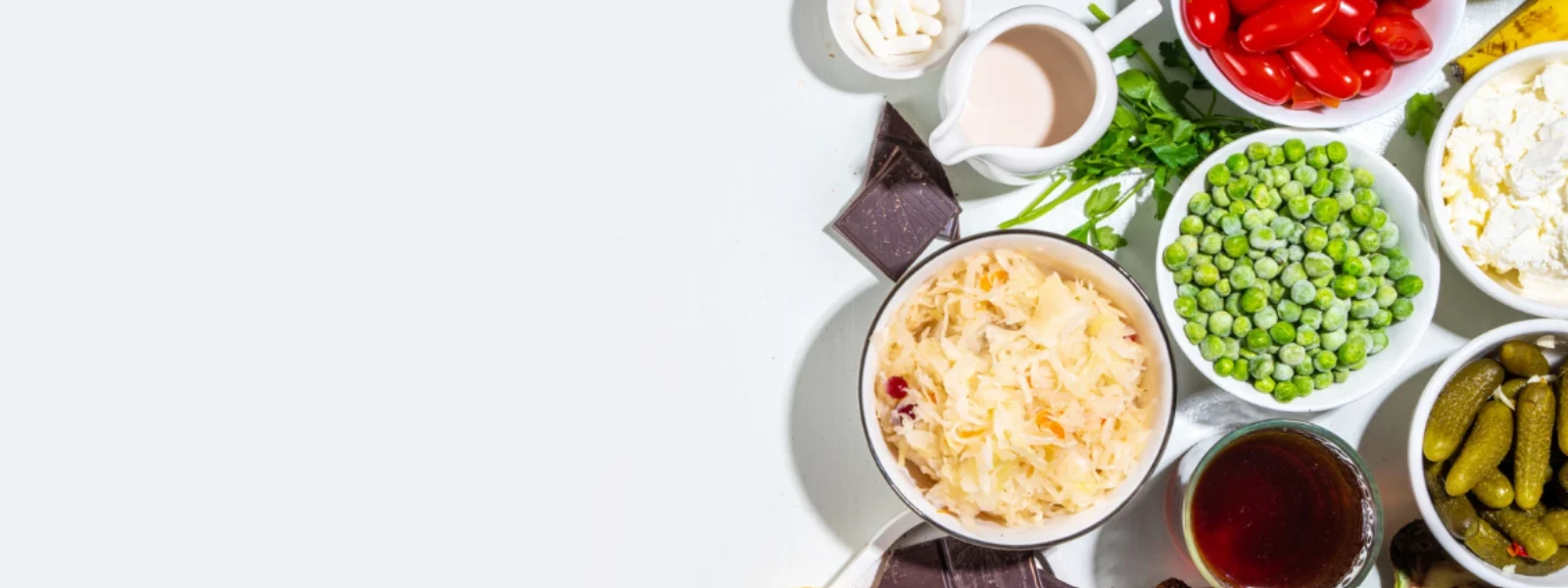 Prebiotic Gummies: Your Gut Health FAQ Guide