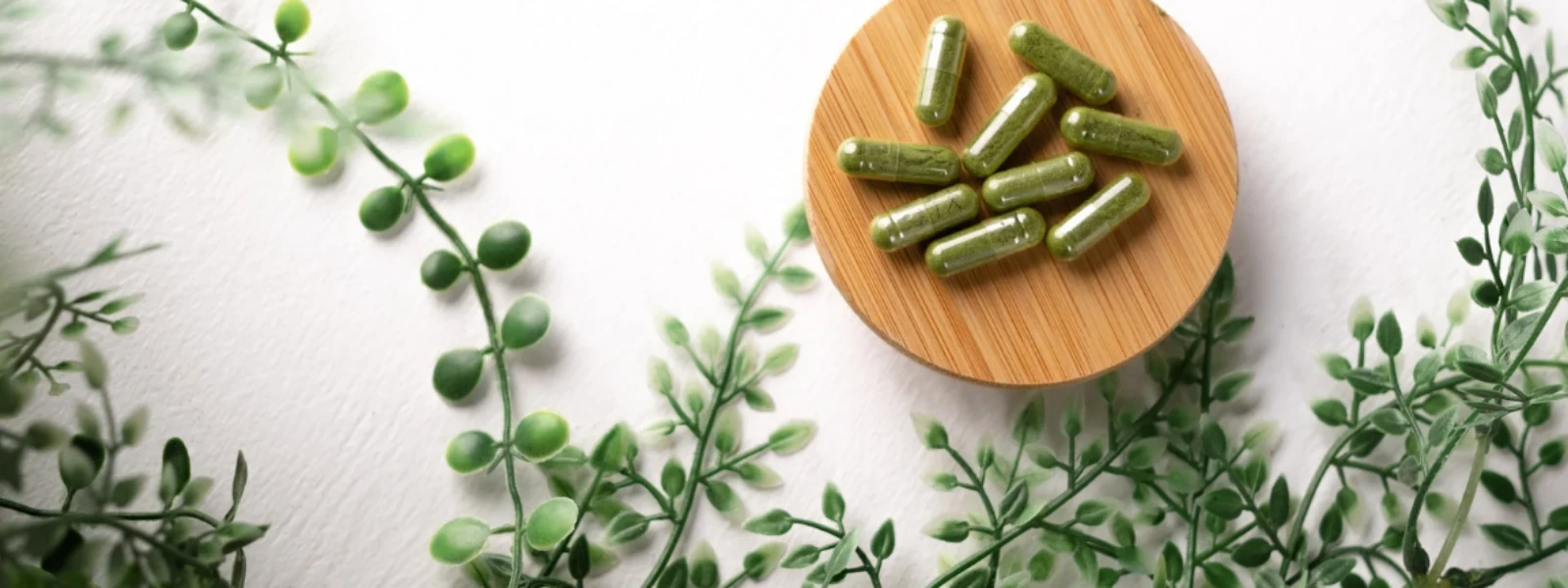 How to Choose: Shilajit Resin vs Capsules Guide