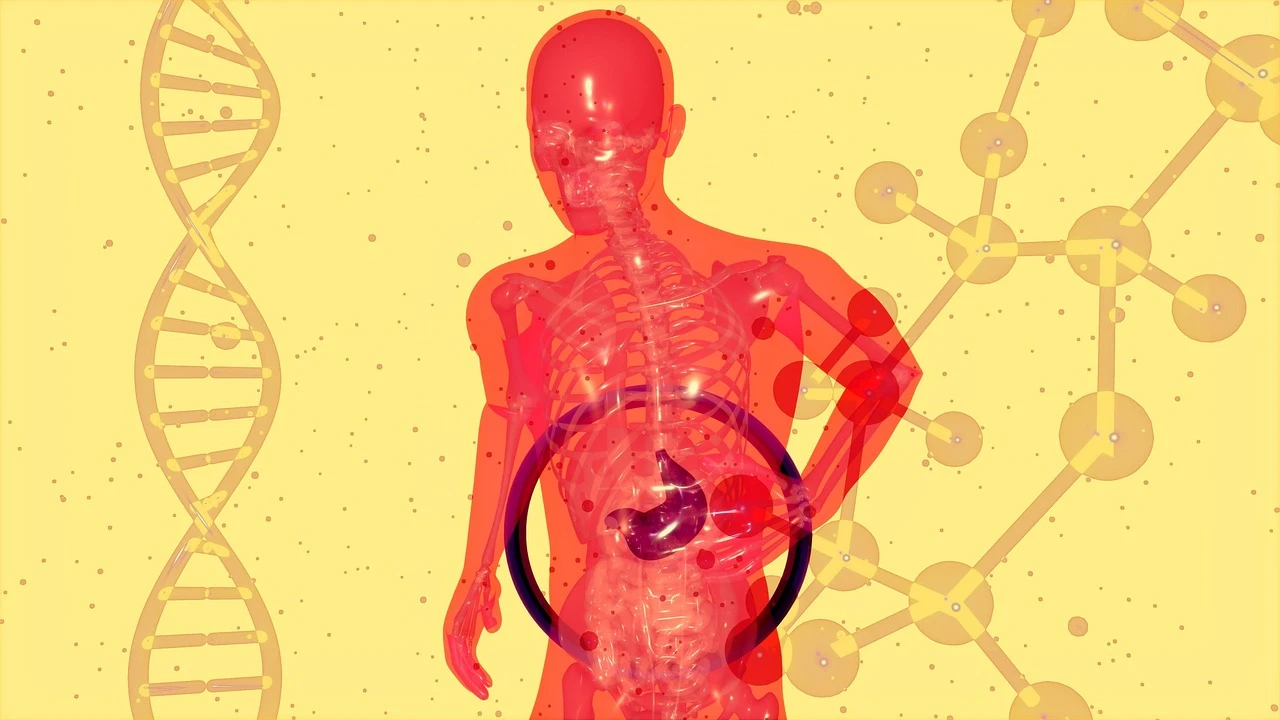 Why Digestive Health Matters: Tackling Acid Reflux