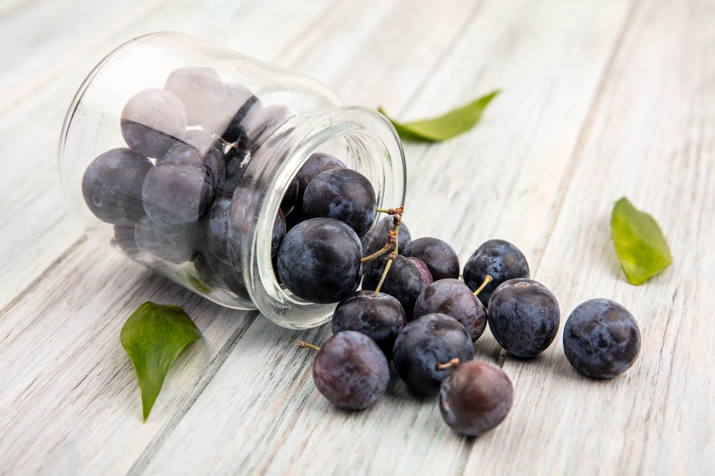 How Bilberry Extract Fights Aging for Healthier Skin?