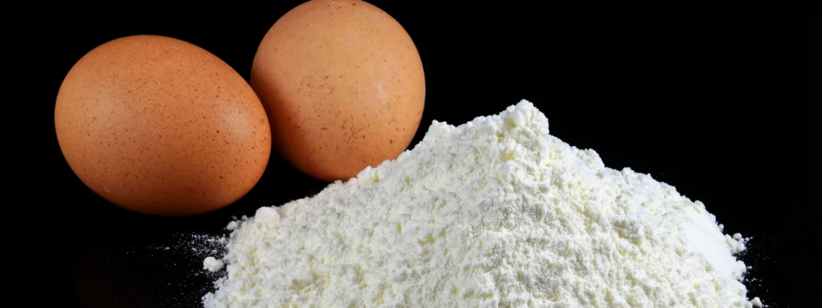 Checklist: 7 Essential Tips for Choosing the Best Non-Veg Protein Powder