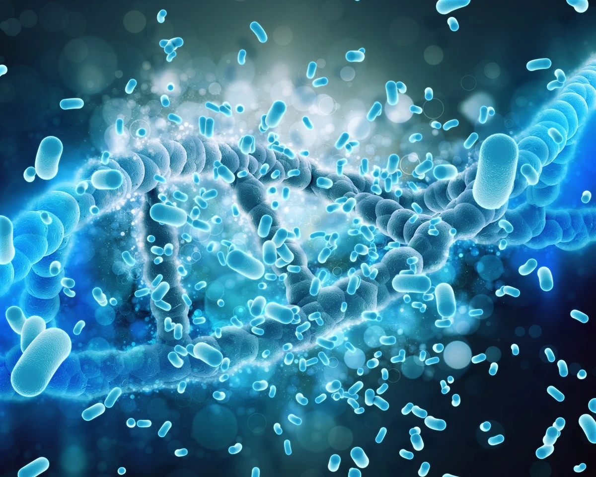 How to Cleanse Your Gut by Increasing Bioavailability