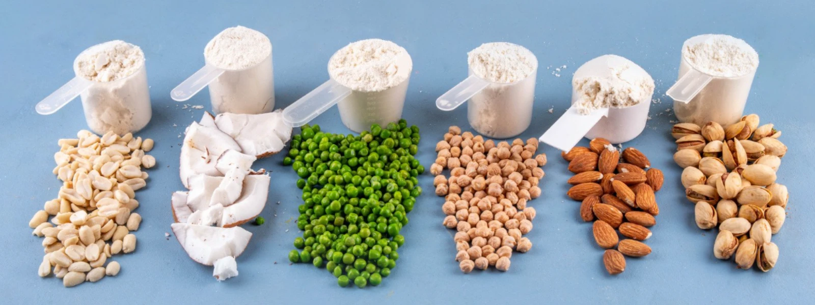 How Much Plant Protein Powder for Gut Health?