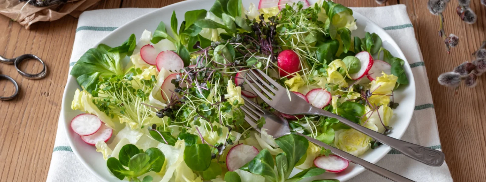 How to Boost Your Health with Microgreens Nutrition