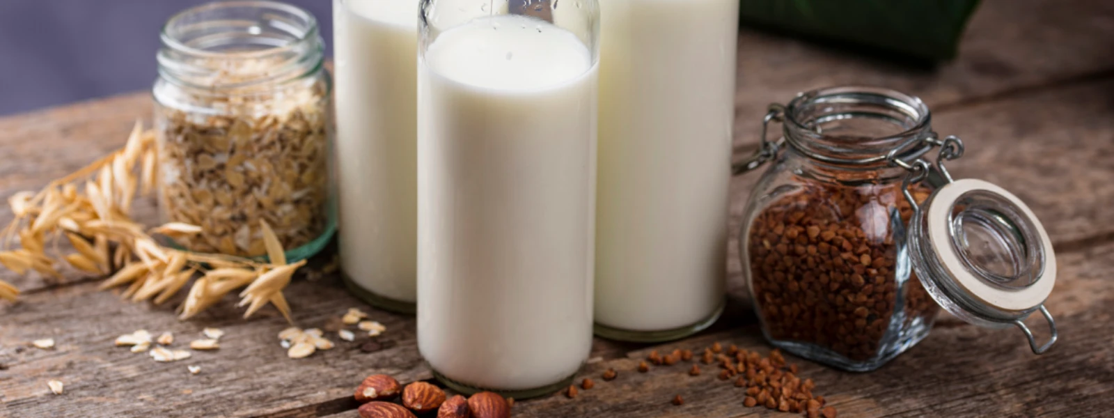 How to Choose Safe Plant Protein for Lactose Issues