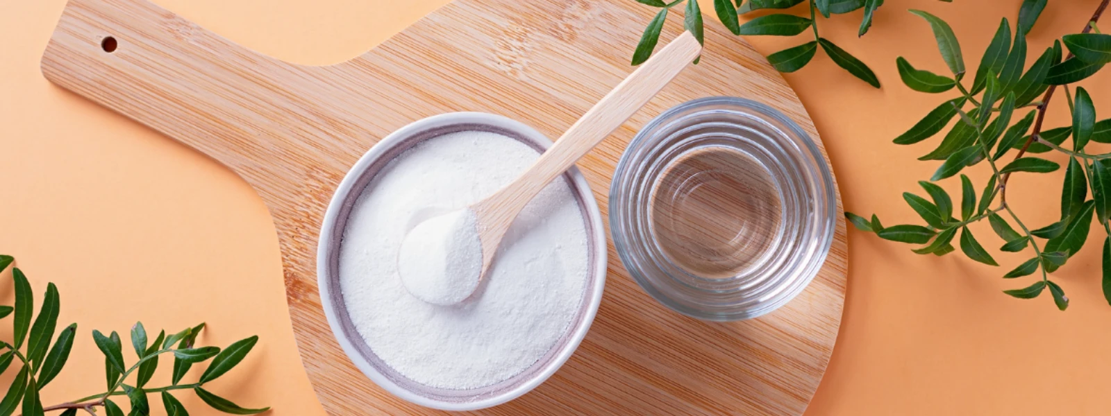Marine Collagen: Ultimate Guide to Bone Health